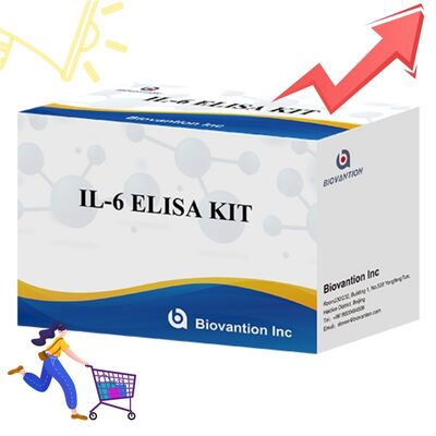 IL-6 ইন্টারলিউকিন-6 হিউম্যান ELISA কিট ৯৯% নির্ভুলতা সহ, shelf life ২৪ মাস এবং প্রতি কিটে ৯৬টি পরীক্ষা