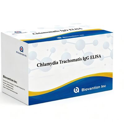 ক্ল্যামাইডিয়া ট্র্যাকোমাটিস (সিটি) IgG ELISA টেস্ট কিট সিরাম/প্লাস্মা